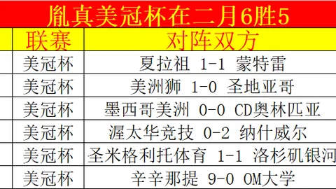 西涅国家队归队之旅：情感历程全记录！